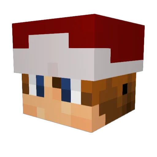 Camnora Minecraft avatar head, 3D render