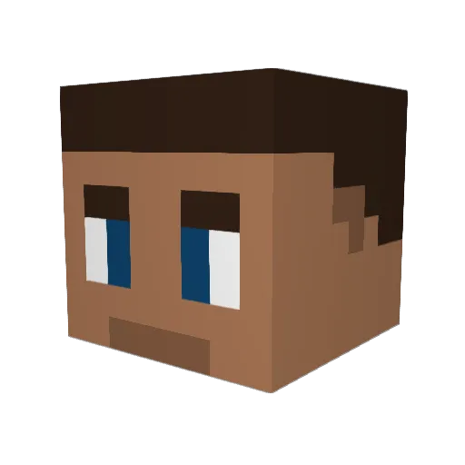 Camo2000 Minecraft avatar head, 3D render