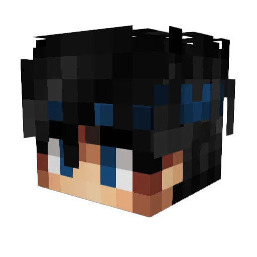 Camo2509_ Minecraft avatar head, 3D render