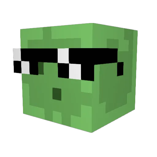Camo6421 Minecraft avatar head, 3D render