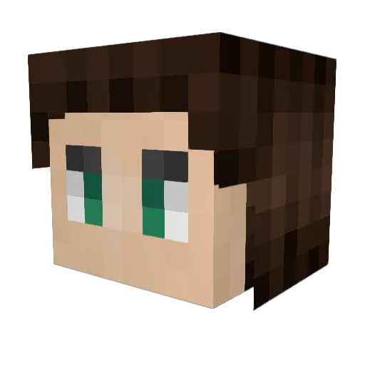 CamoBro73 Minecraft avatar head, 3D render