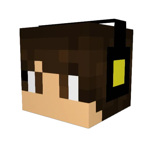 CamoCam1302 Minecraft avatar head, 3D render
