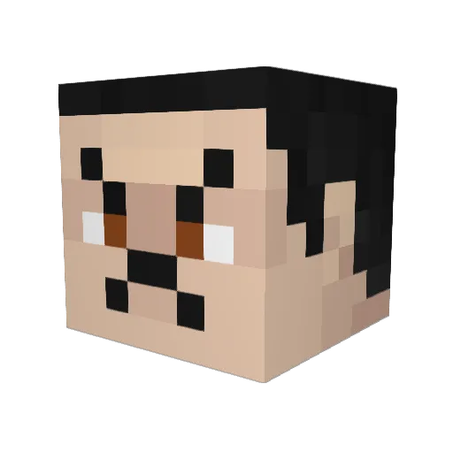 CamoCyclops Minecraft avatar head, 3D render