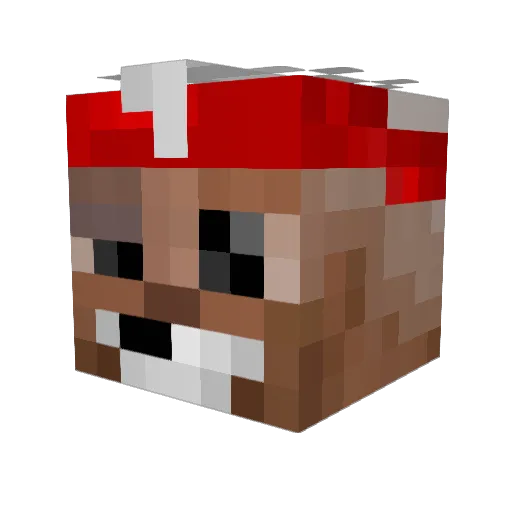 CamoGaming4842 Minecraft avatar head, 3D render