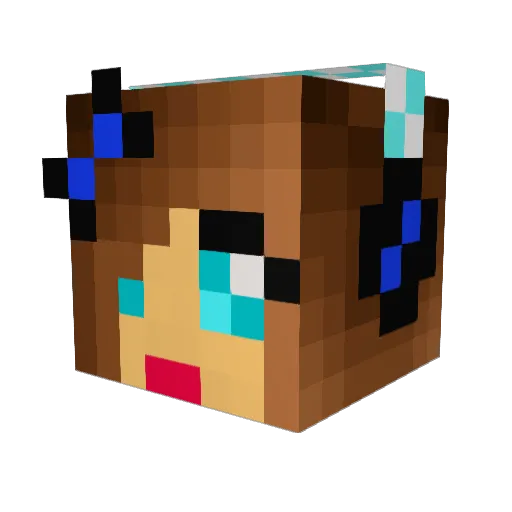 CamoKT Minecraft avatar head, 3D render