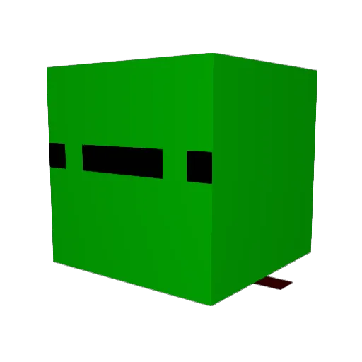 CamoTurtle4 Minecraft avatar head, 3D render