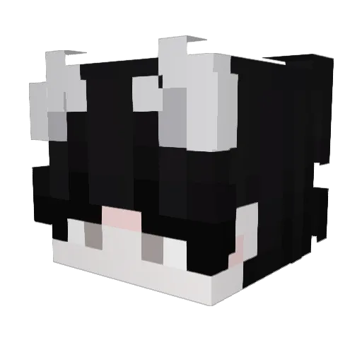 Camob1231 Minecraft avatar head, 3D render