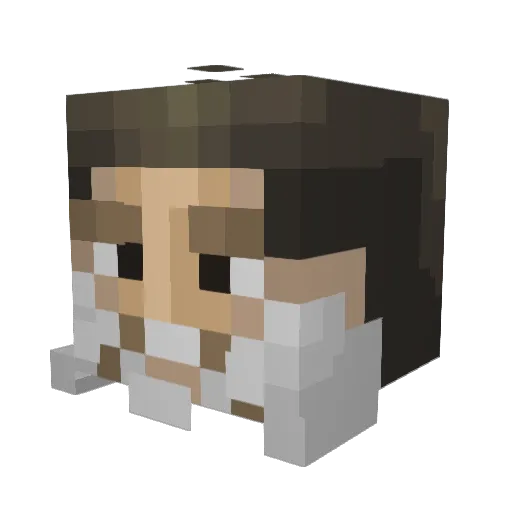 Camoboy248 Minecraft avatar head, 3D render