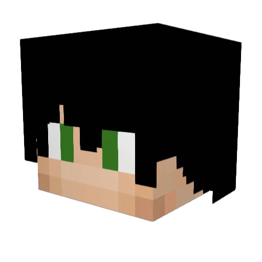 Camoguy2222 Minecraft avatar head, 3D render