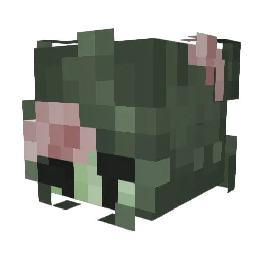 Camomilesad Minecraft avatar head, 3D render