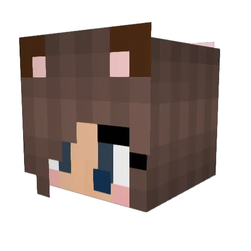CamouflageGrace Minecraft avatar head, 3D render