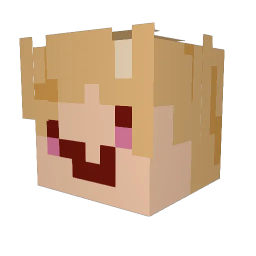 CamouflageKitten Minecraft avatar head, 3D render