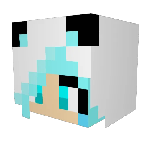 Camouthe Minecraft avatar head, 3D render