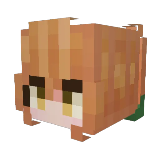 CampLocko Minecraft avatar head, 3D render