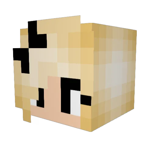 Campadoo Minecraft avatar head, 3D render