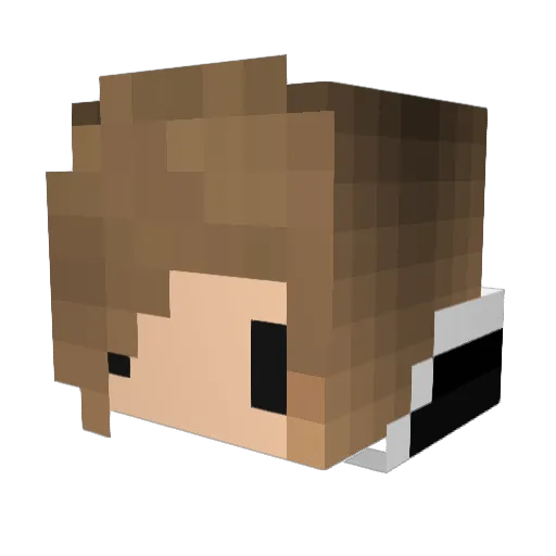 CampbellsSoup03 Minecraft avatar head, 3D render