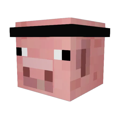 Camper Minecraft avatar head, 3D render