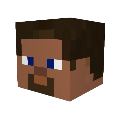 Campersauu Minecraft avatar head, 3D render