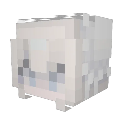Campestral Minecraft avatar head, 3D render