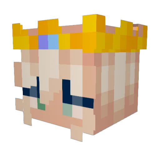 Campfire321 Minecraft avatar head, 3D render