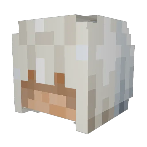 Camposnick Minecraft avatar head, 3D render