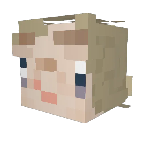 Camquats Minecraft avatar head, 3D render