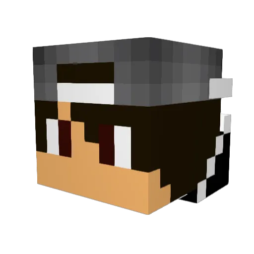Cams__ Minecraft avatar head, 3D render