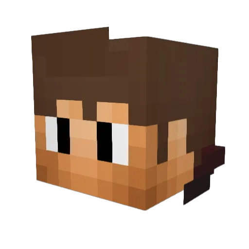 Camse Minecraft avatar head, 3D render
