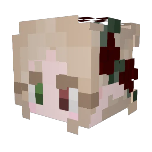 Camsluu3 Minecraft avatar head, 3D render