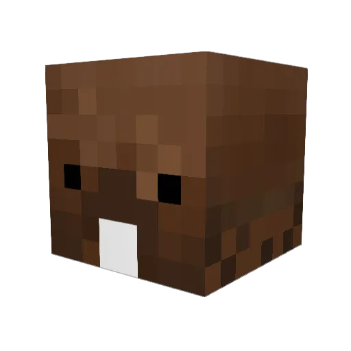 Camster53 Minecraft avatar head, 3D render