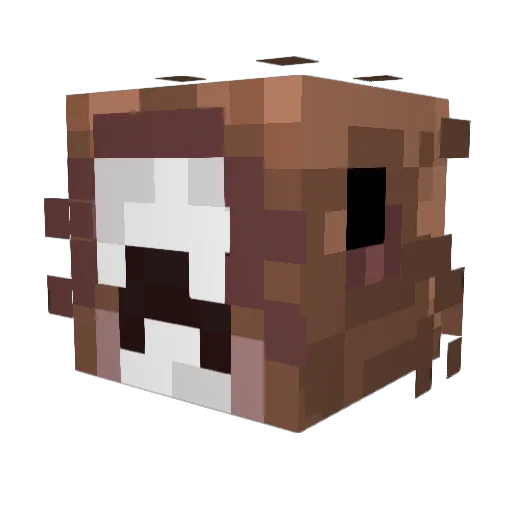 Camsterman_ Minecraft avatar head, 3D render