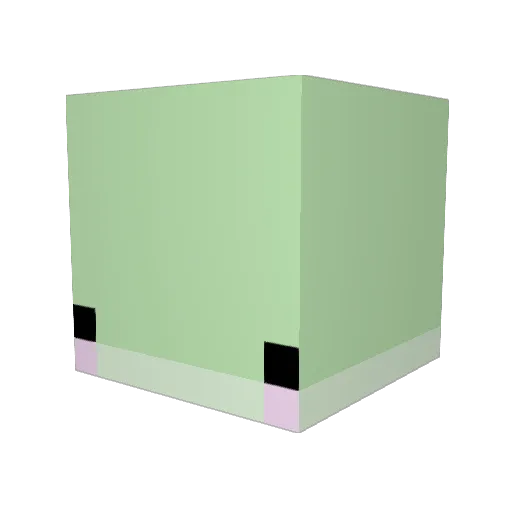 Camthefrog Minecraft avatar head, 3D render