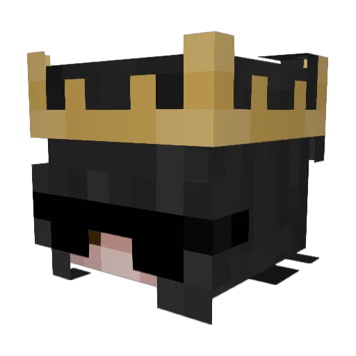 Camxz_ Minecraft avatar head, 3D render