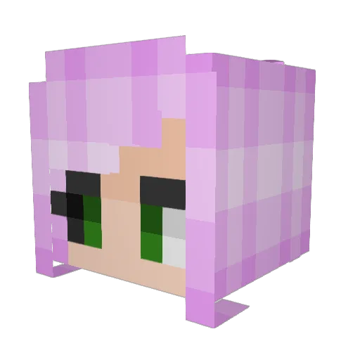 Camy2346 Minecraft avatar head, 3D render