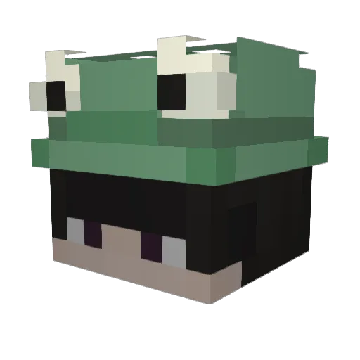 CamzLFC Minecraft avatar head, 3D render