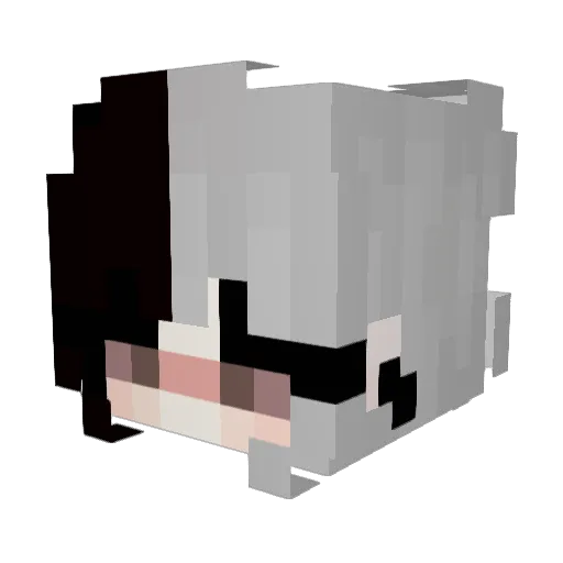 Can01103 Minecraft avatar head, 3D render