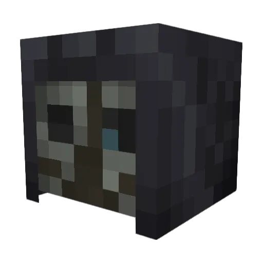 Can0PintoBeanz Minecraft avatar head, 3D render