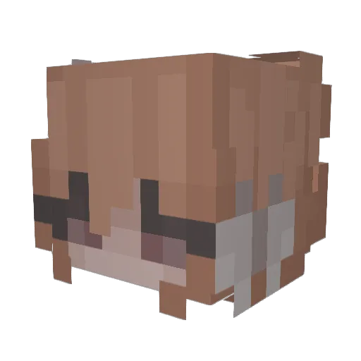 Can1balizedStar Minecraft avatar head, 3D render