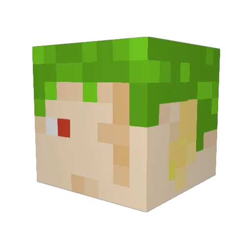 Can74 Minecraft avatar head, 3D render