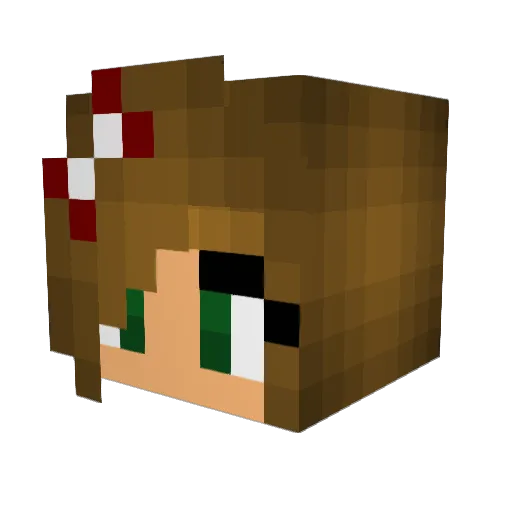 CanNoodles Minecraft avatar head, 3D render