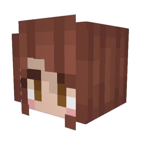 CanSch Minecraft avatar head, 3D render
