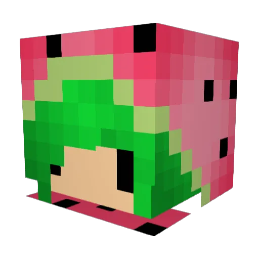 CanWeGo Minecraft avatar head, 3D render
