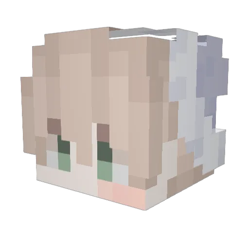 Can_Bircan Minecraft avatar head, 3D render