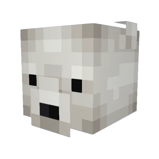 CanadianApoclpse Minecraft avatar head, 3D render