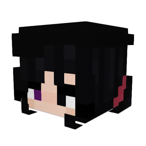 CanadianDoge34 Minecraft avatar head, 3D render