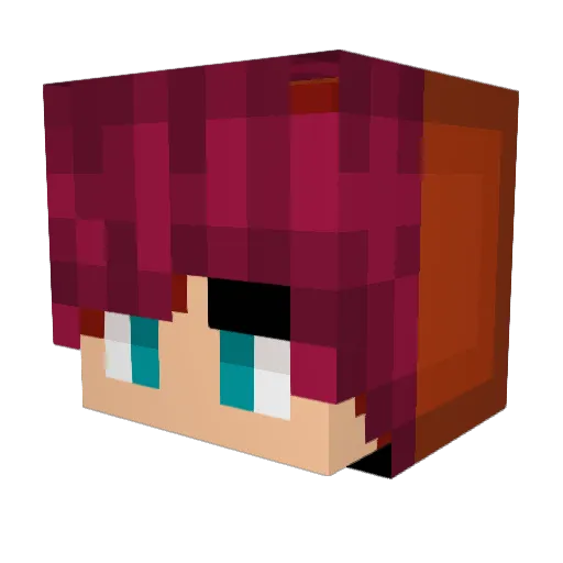 CanadianGuy51 Minecraft avatar head, 3D render