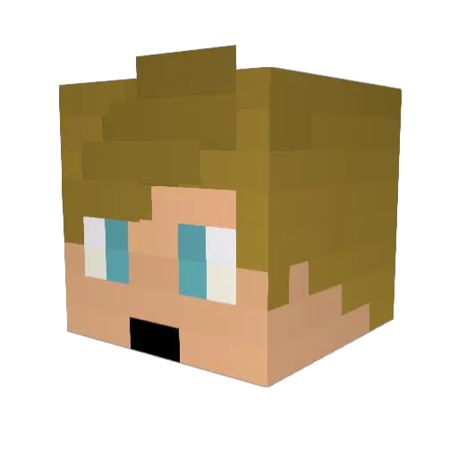 CanadianHacker24 Minecraft avatar head, 3D render