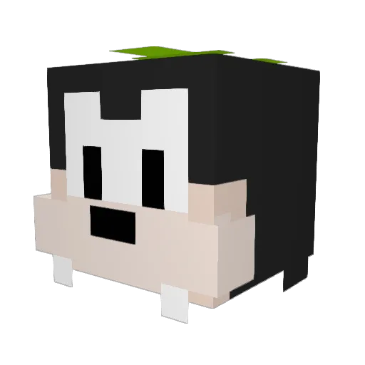 CanadianKurizma Minecraft avatar head, 3D render