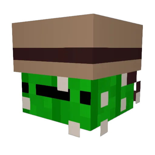 Canadian_Cactus Minecraft avatar head, 3D render