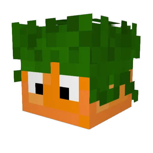 Canadian_Carrot Minecraft avatar head, 3D render